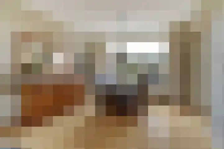 Ds. Magendansstraat 19 Lexmond thumbnail 9