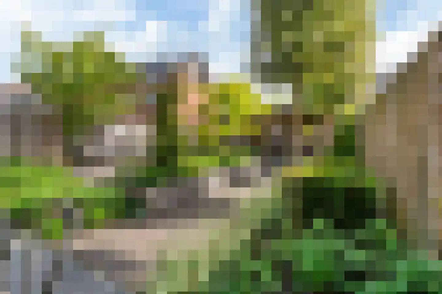 Ds. Martin Luther Kingweg 170 Zaandam thumbnail 44