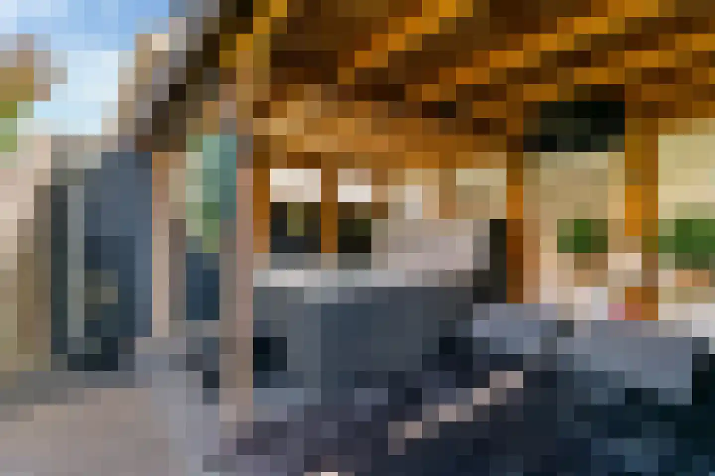 Ds. Martin Luther Kingweg 170 Zaandam thumbnail 48