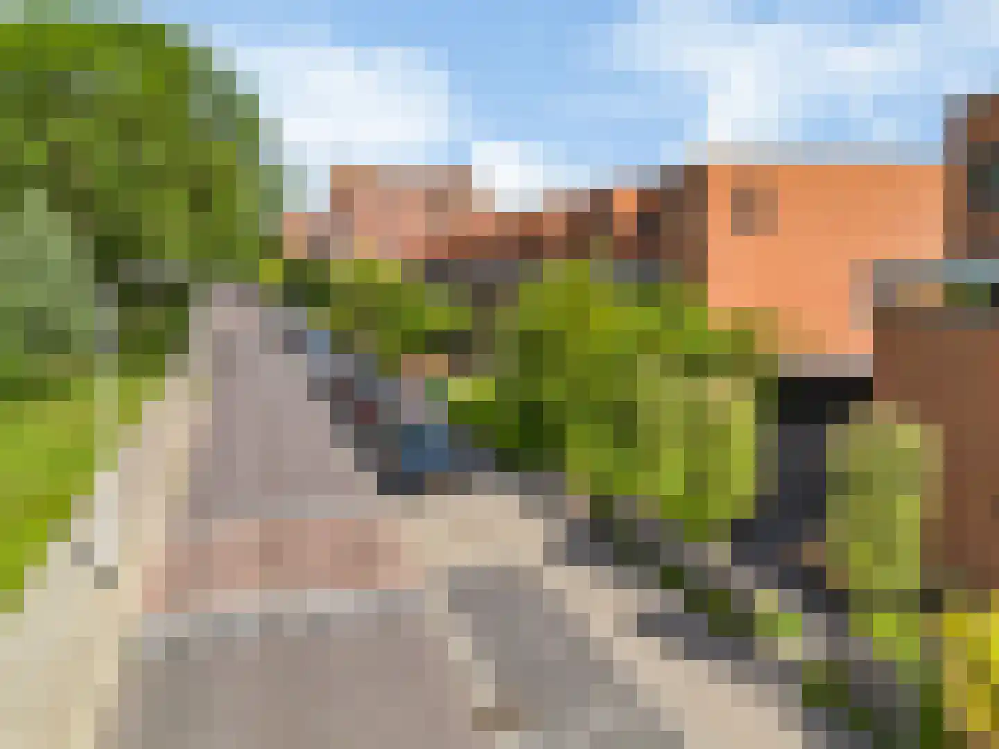 Ds. Martin Luther Kingweg 170 Zaandam thumbnail 62