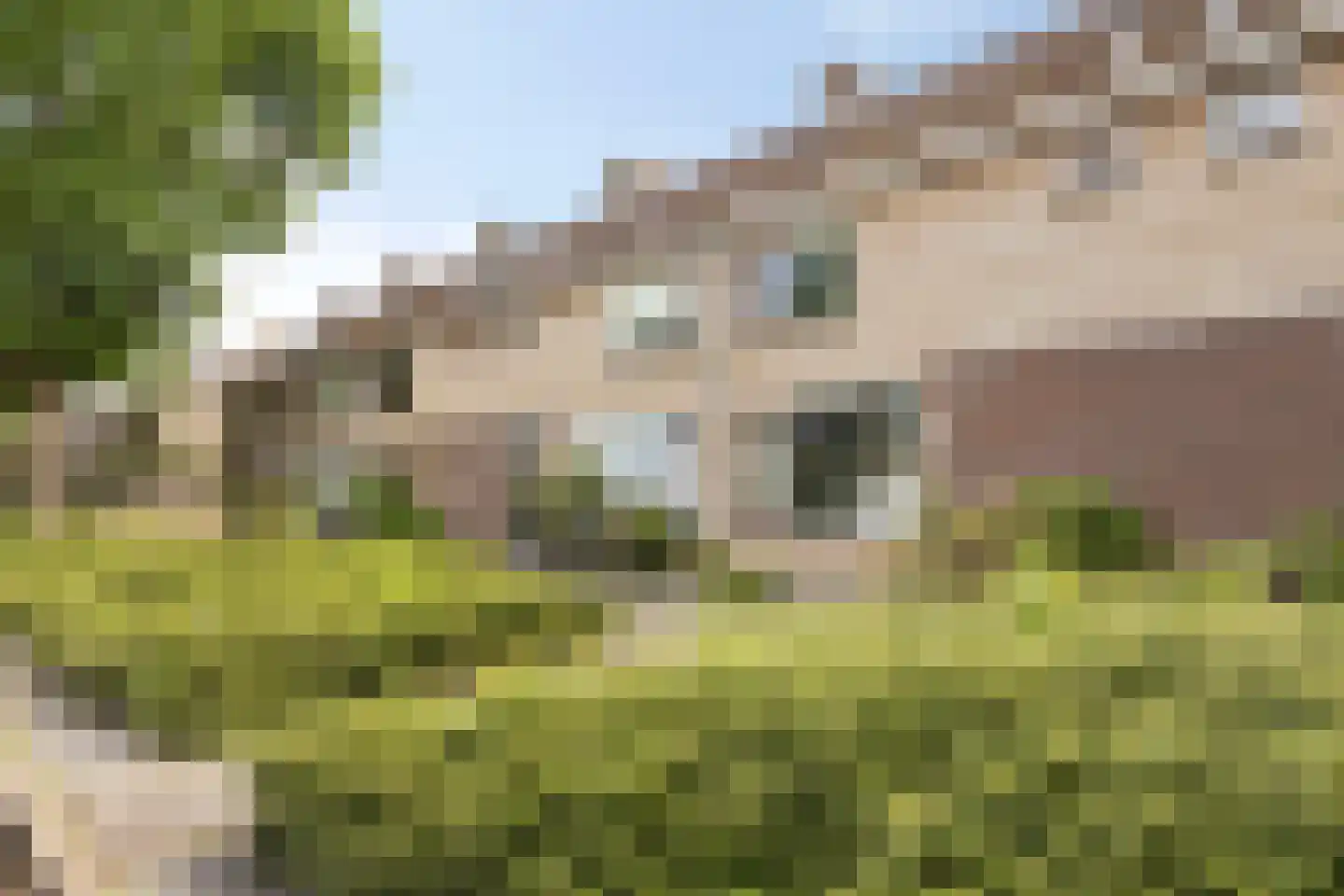 Ds. Martin Luther Kingweg 26 Purmerend thumbnail 5