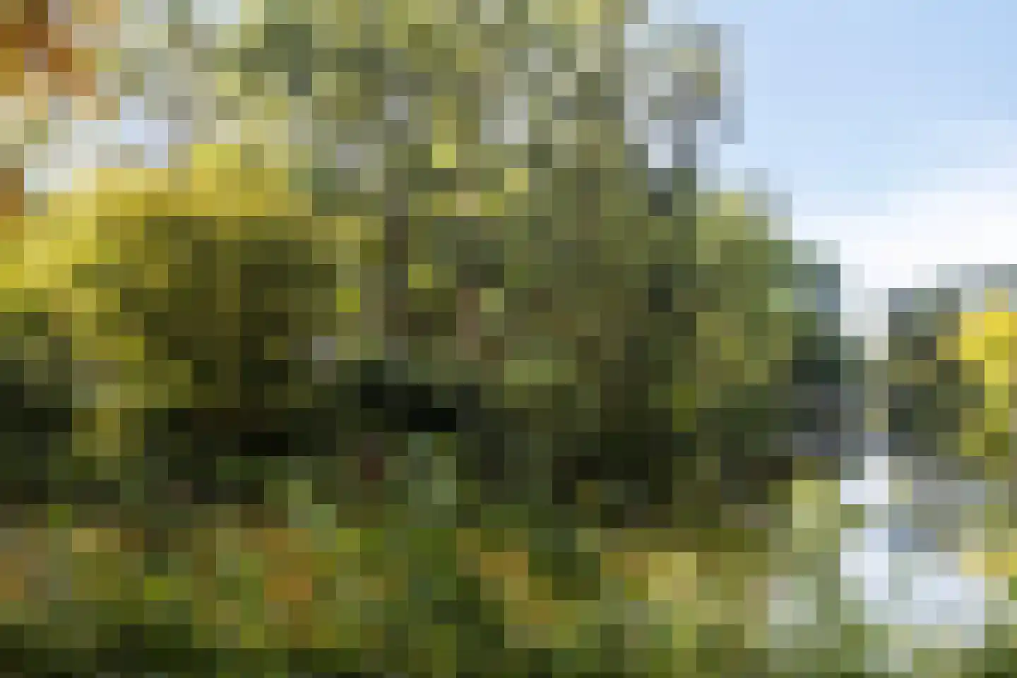 Ds. Martin Luther Kingweg 58 Purmerend thumbnail 35