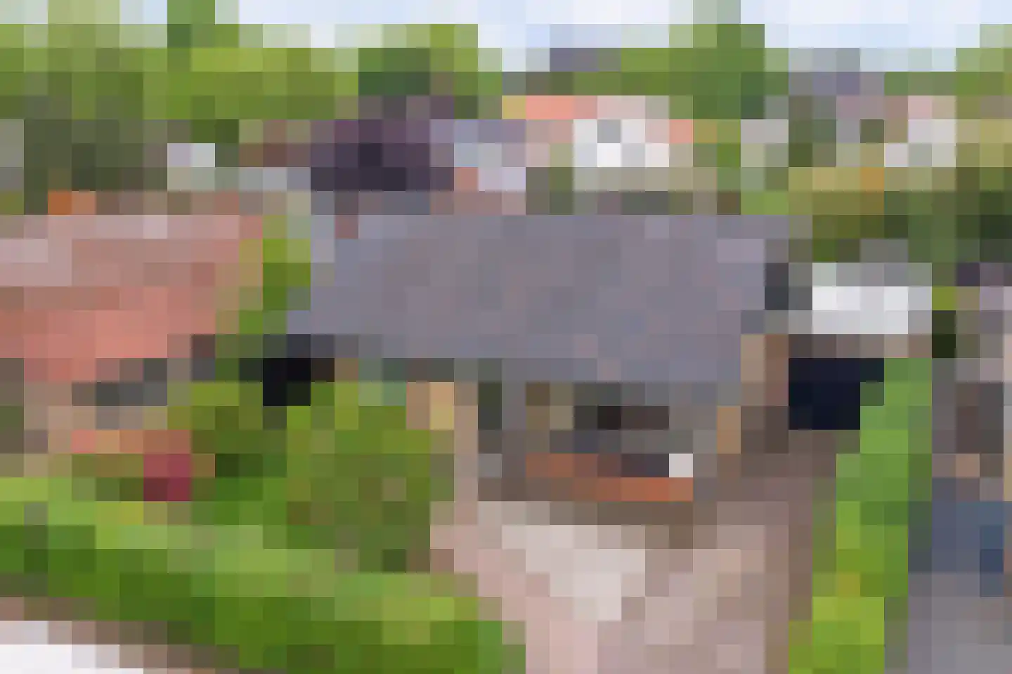 Ds. Martiniuslaan 46 Nunspeet thumbnail 46