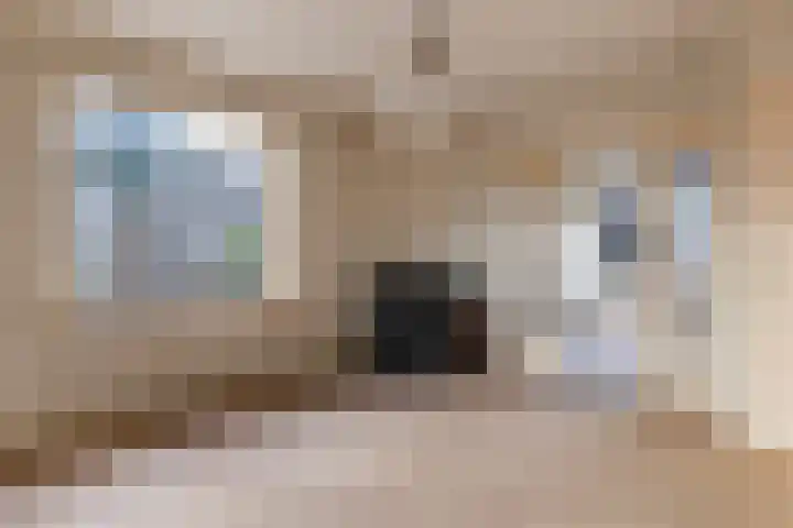 Ds. Martiniuslaan 50 Nunspeet thumbnail 8