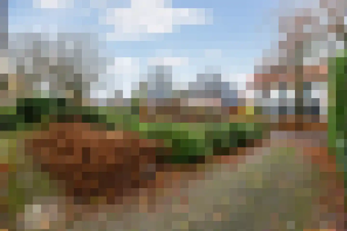 Ds. Medenbachweg 3 Ermelo thumbnail 52
