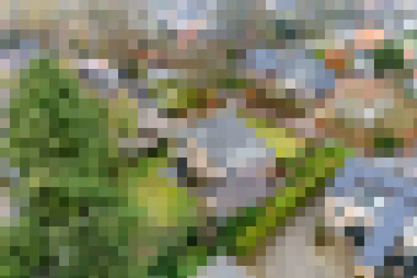 Ds. Medenbachweg 3 Ermelo thumbnail 53