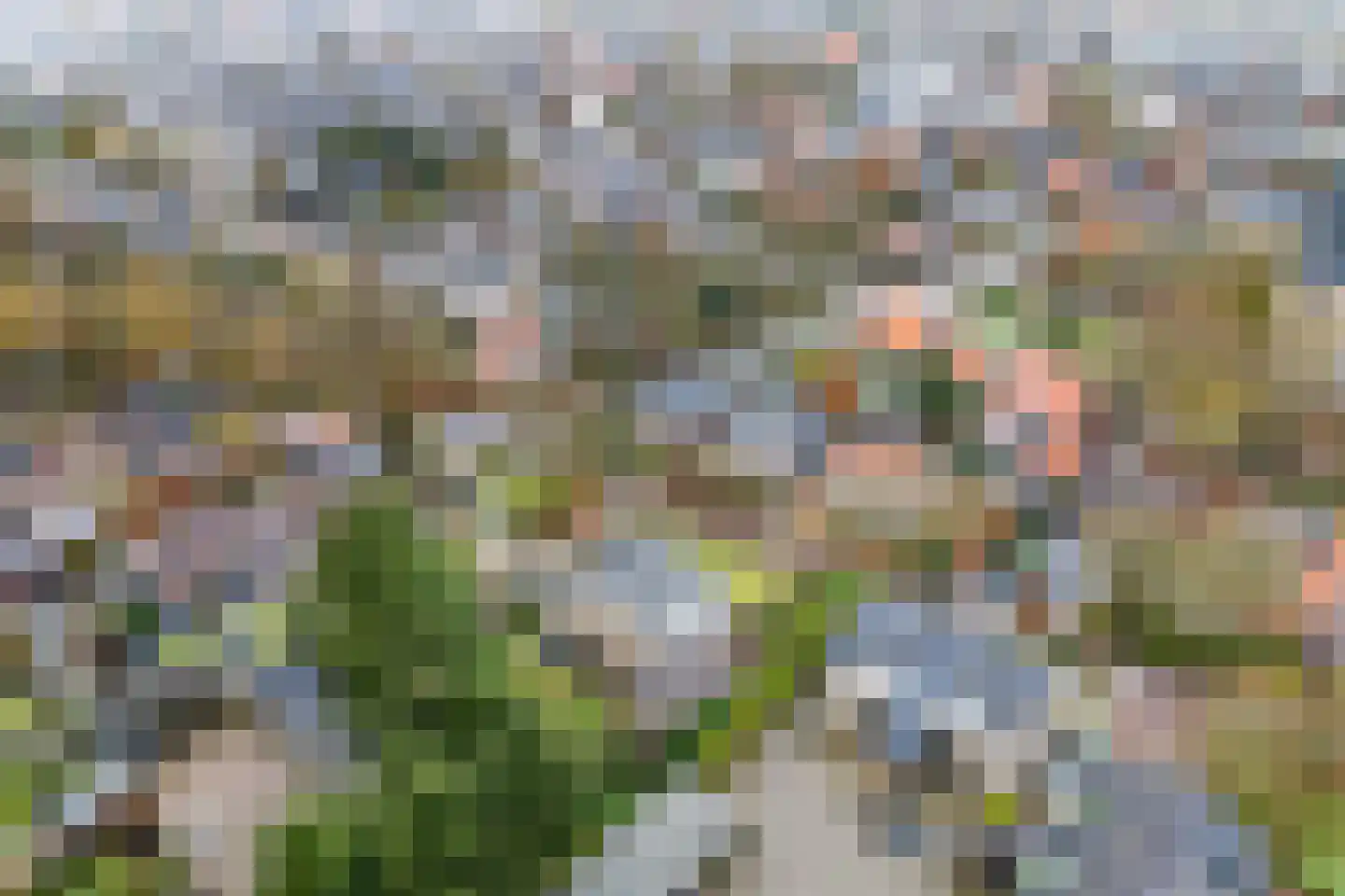 Ds. Medenbachweg 3 Ermelo thumbnail 58