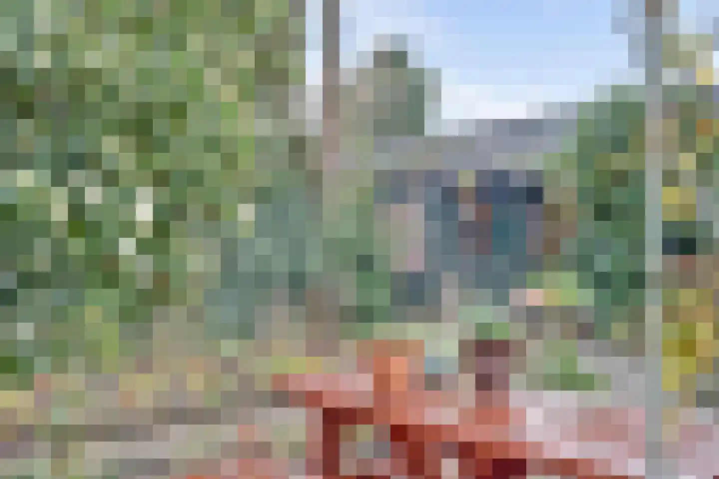 Ds. Medenbachweg 5 Ermelo thumbnail 40