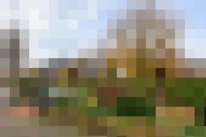Ds. Medenbachweg 7 Ermelo thumbnail 87