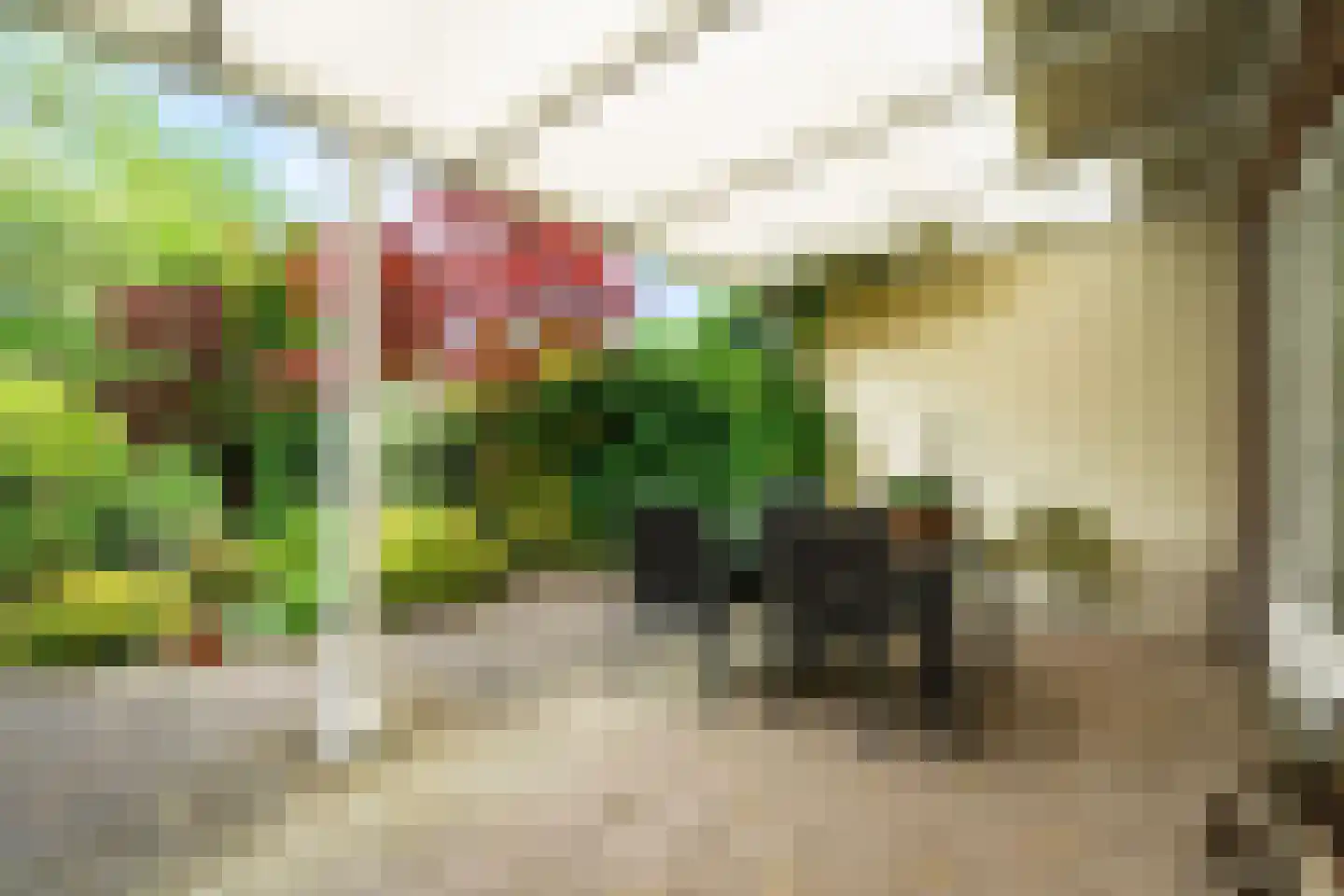 Ds. Nahuyslaan 26 Zeist thumbnail 18