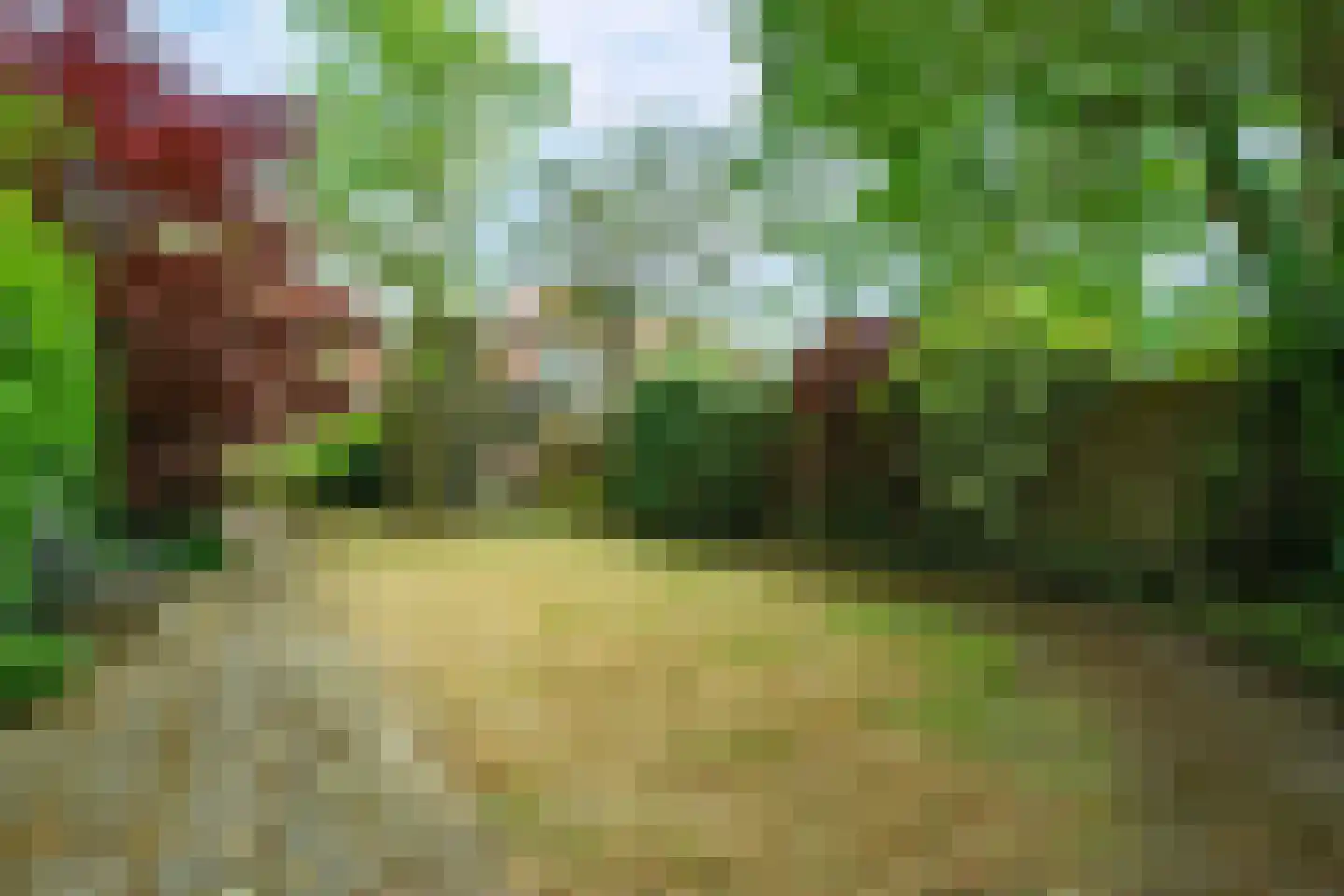 Ds. Nahuyslaan 26 Zeist thumbnail 22