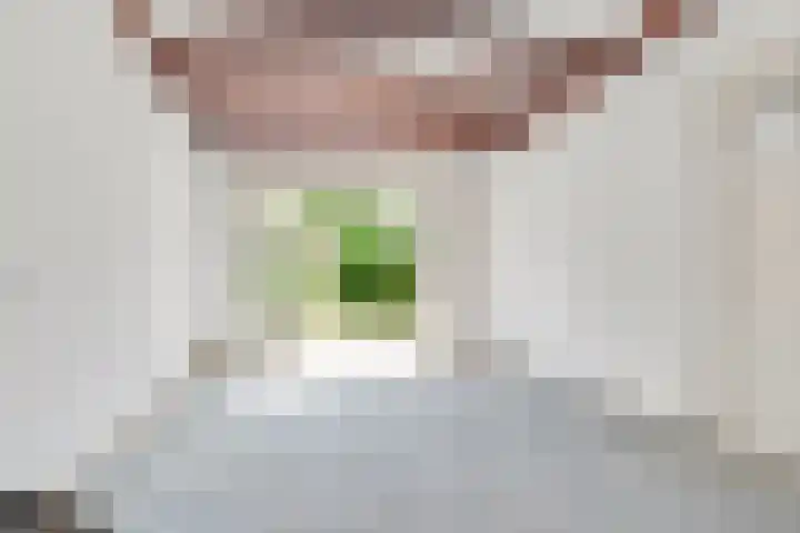 Ds. Nahuyslaan 29 Zeist thumbnail 12