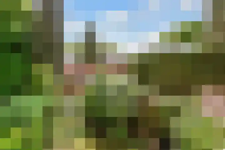Ds. Nahuyslaan 29 Zeist thumbnail 19
