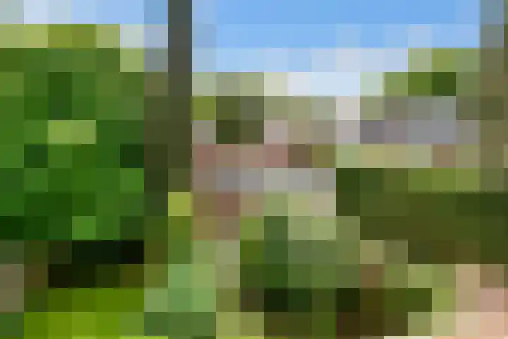 Ds. Nahuyslaan 29 Zeist thumbnail 29