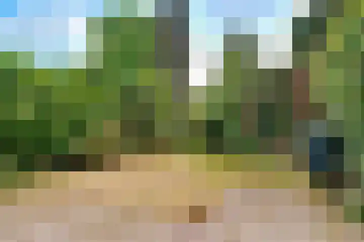 Ds. Nahuyslaan 29 Zeist thumbnail 31