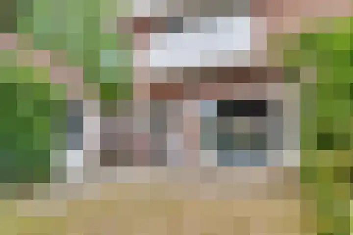 Ds. Nahuyslaan 29 Zeist thumbnail 32