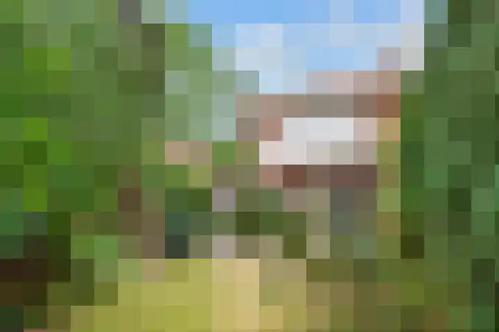 Ds. Nahuyslaan 29 Zeist thumbnail 34