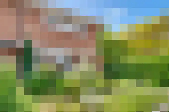 Ds. Nahuyslaan 29 Zeist thumbnail 4