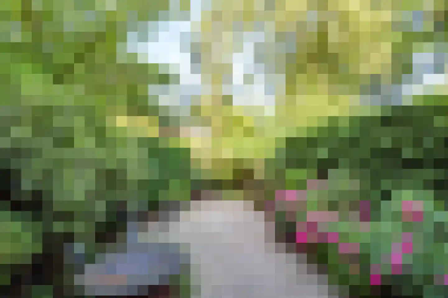 Ds. Nahuyslaan 31 Zeist thumbnail 52