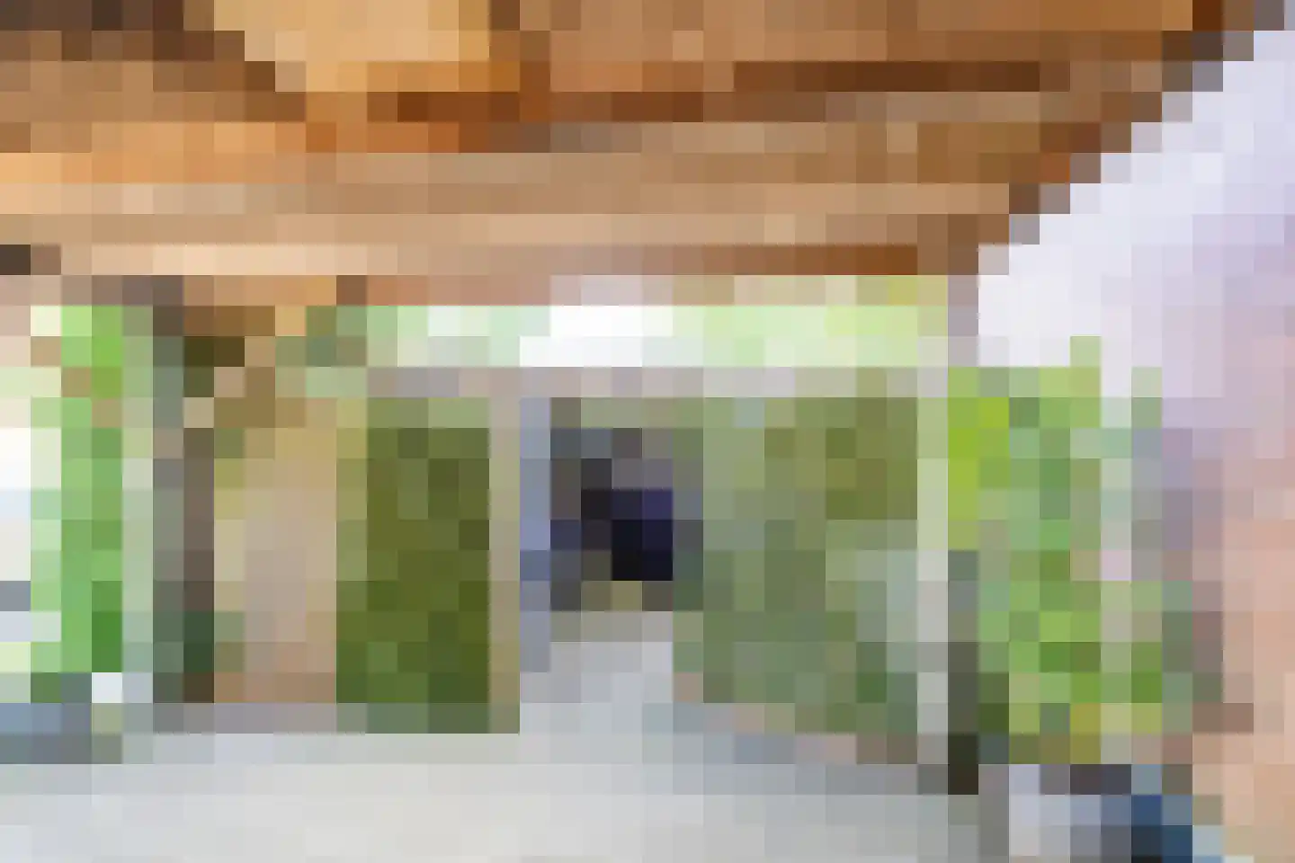 Ds. Nahuyslaan 31 Zeist thumbnail 58