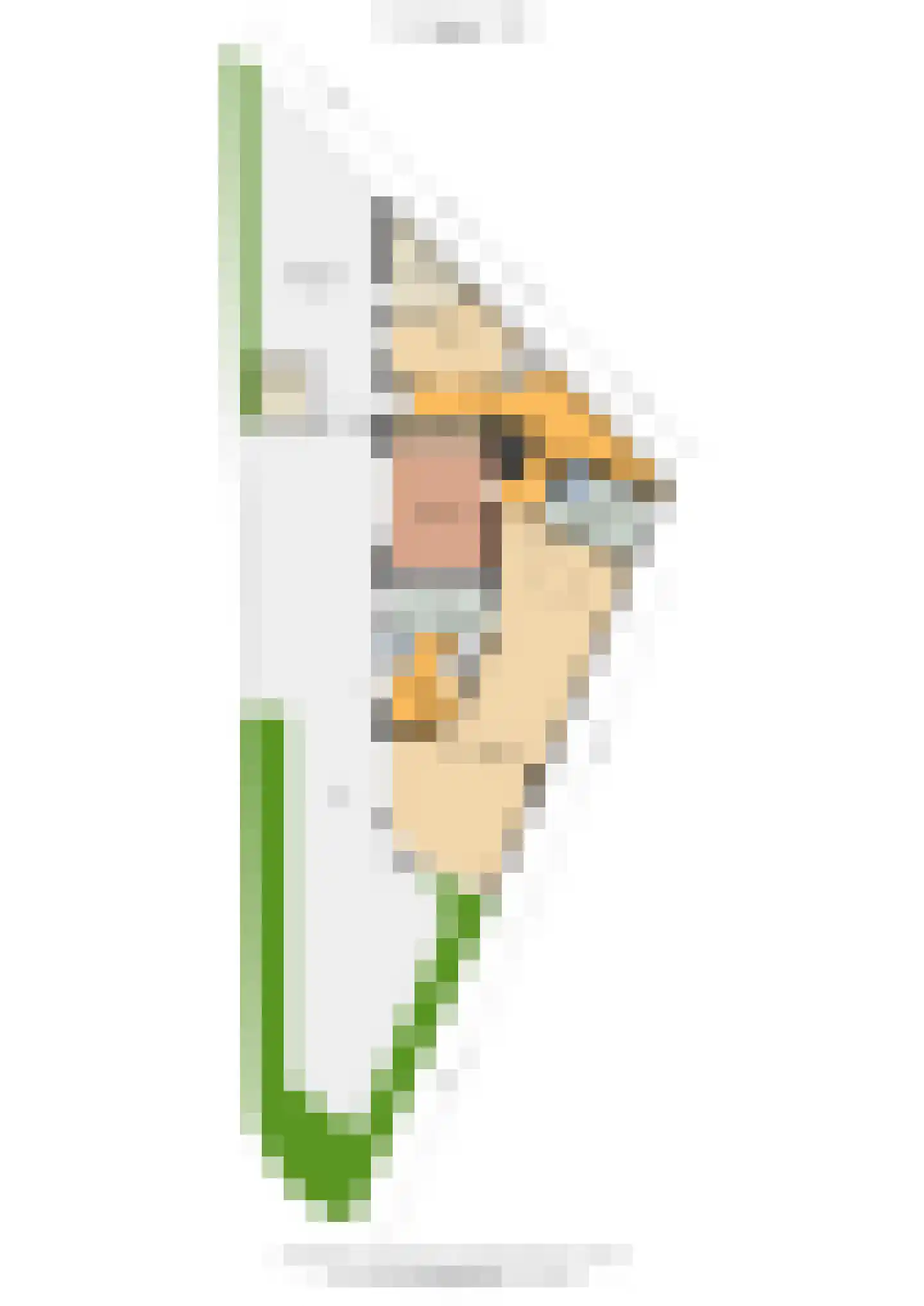 Ds. Nahuyslaan 31 Zeist thumbnail 69