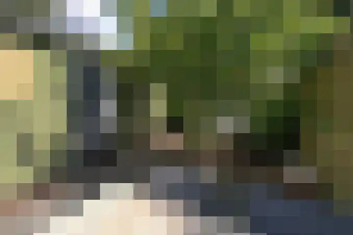 Ds. Nahuyslaan 5 Zeist thumbnail 16