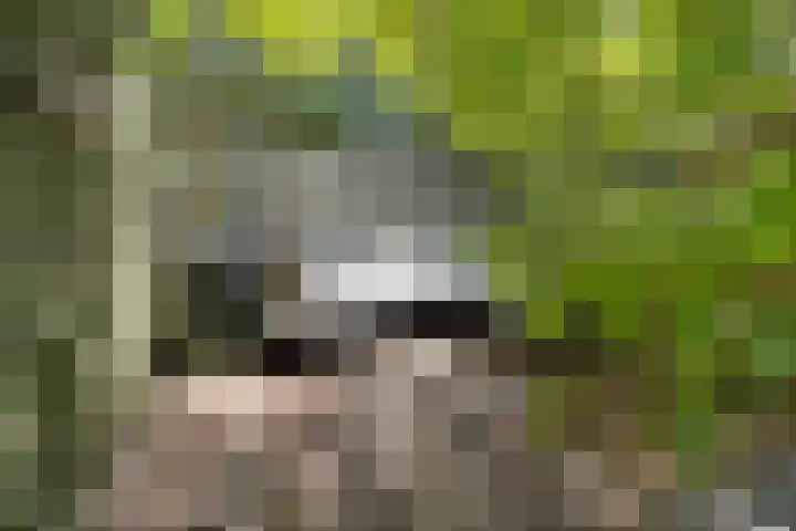 Ds. Nahuyslaan 5 Zeist thumbnail 17