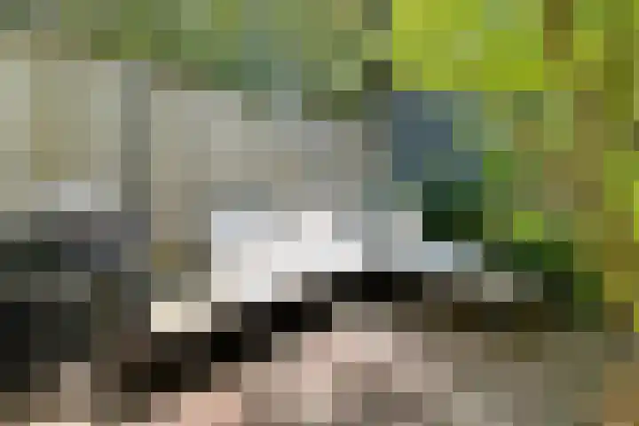 Ds. Nahuyslaan 5 Zeist thumbnail 18
