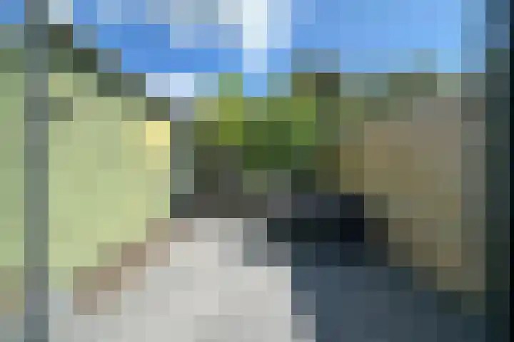 Ds. Nahuyslaan 5 Zeist thumbnail 19