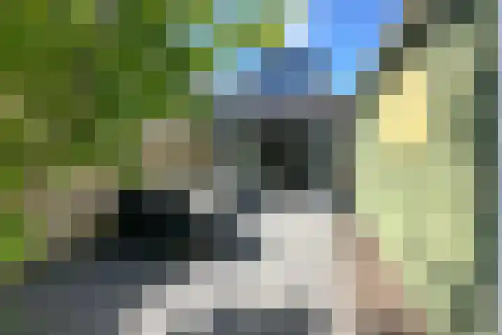 Ds. Nahuyslaan 5 Zeist thumbnail 21