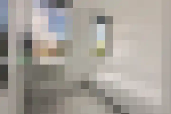 Ds. Nahuyslaan 5 Zeist thumbnail 30