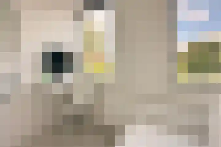 Ds. Nahuyslaan 5 Zeist thumbnail 31