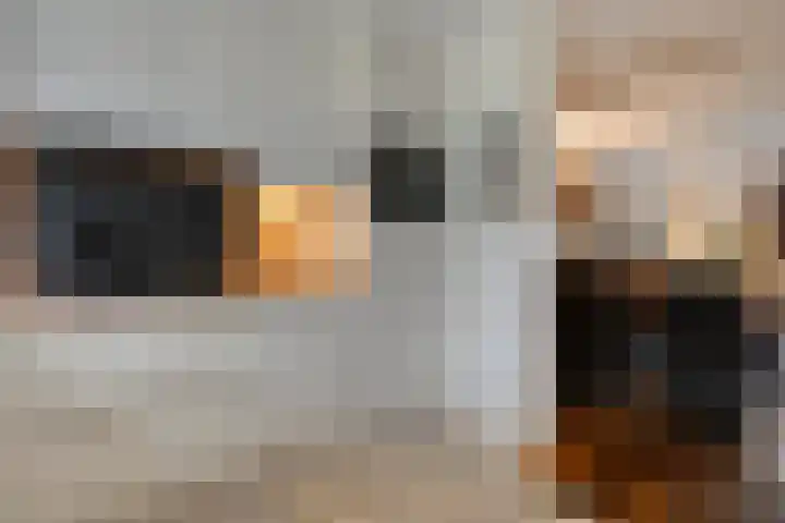 Ds. Overduinhof 3 Kampen thumbnail 15