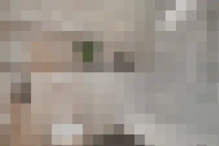 Ds. Overduinhof 3 Kampen thumbnail 28