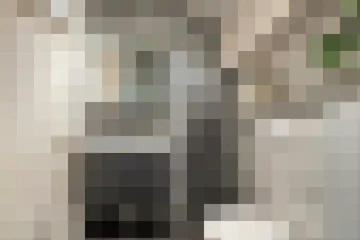 Ds. Overduinhof 3 Kampen thumbnail 29