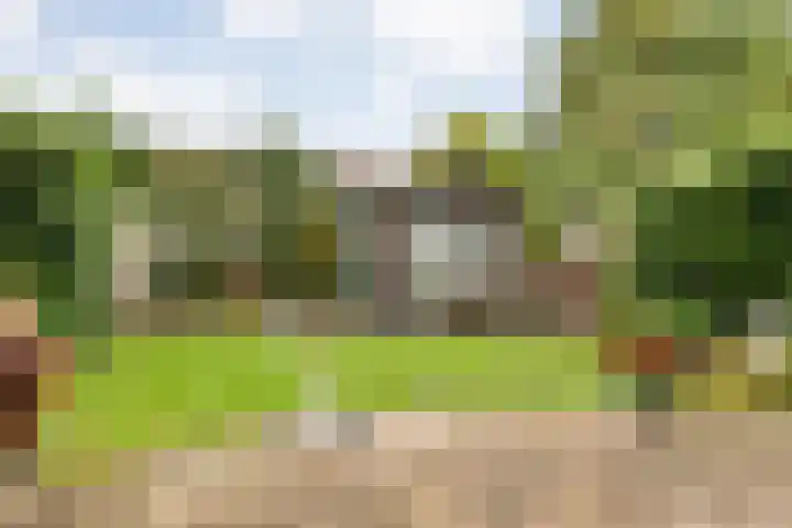 Ds. Overduinhof 3 Kampen thumbnail 36