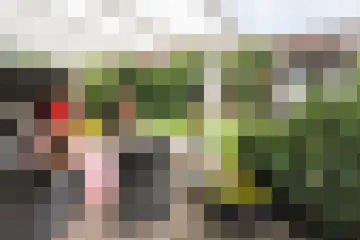 Ds. Overduinhof 3 Kampen thumbnail 37