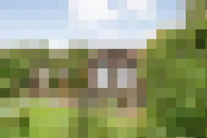 Ds. Overduinhof 3 Kampen thumbnail 38