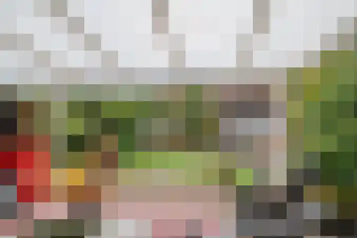 Ds. Overduinhof 3 Kampen thumbnail 39