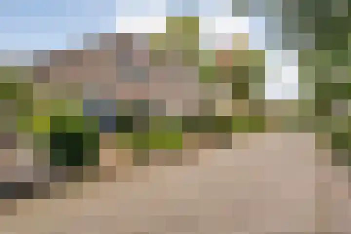 Ds. Overduinhof 3 Kampen thumbnail 40