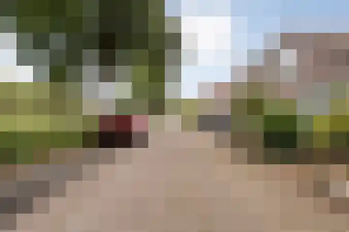 Ds. Overduinhof 3 Kampen thumbnail 41