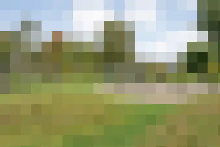 Ds. Overduinhof 3 Kampen thumbnail 42