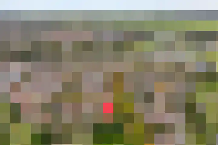 Ds. Overduinhof 3 Kampen thumbnail 43