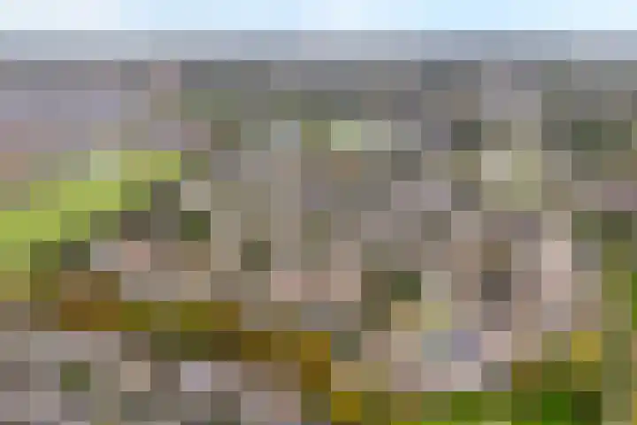 Ds. Overduinhof 3 Kampen thumbnail 44