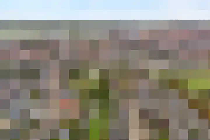 Ds. Overduinhof 3 Kampen thumbnail 45