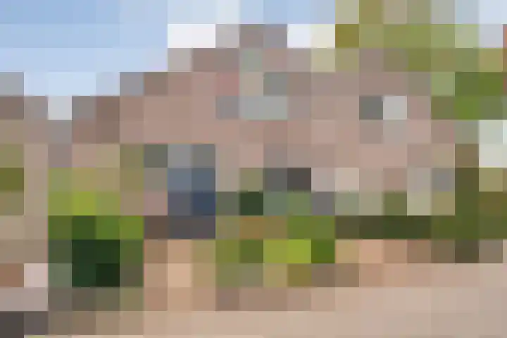 Ds. Overduinhof 3 Kampen thumbnail 46