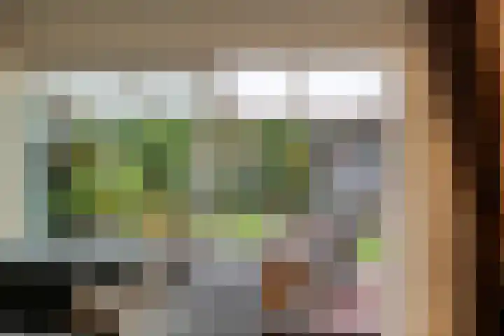 Ds. Overduinhof 3 Kampen thumbnail 9