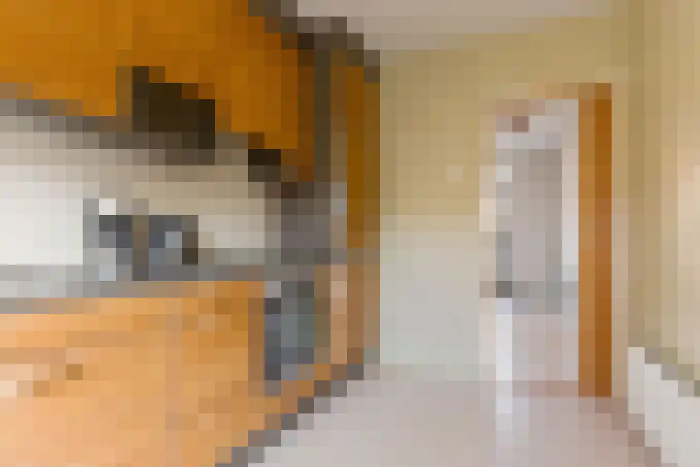 Ds Pasmastraat 16 Bunnik thumbnail 15