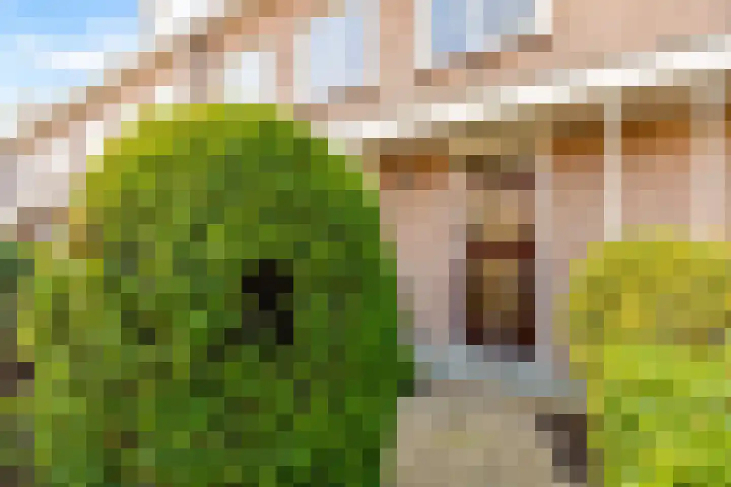 Ds Pasmastraat 16 Bunnik thumbnail 4