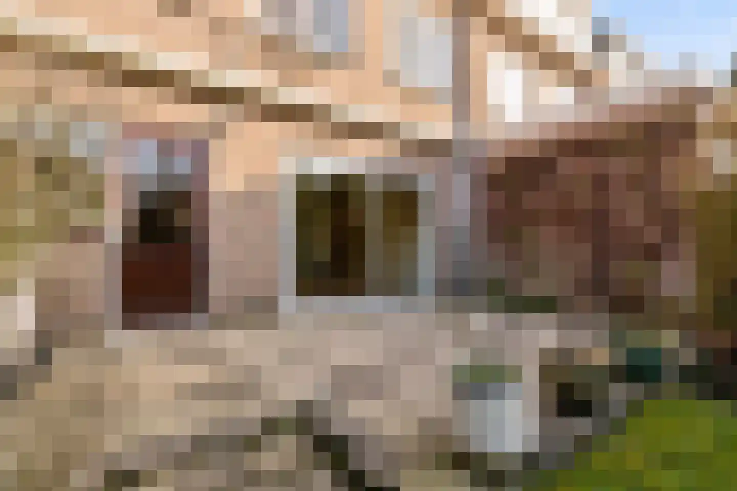 Ds Pasmastraat 16 Bunnik thumbnail 42